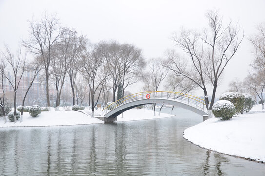 黄河公园雪景