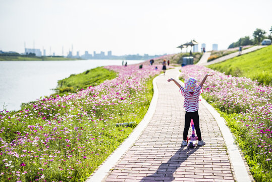 沿江花海