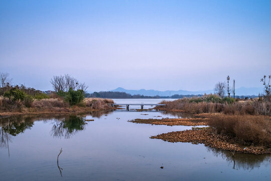 秋天的湿地公园