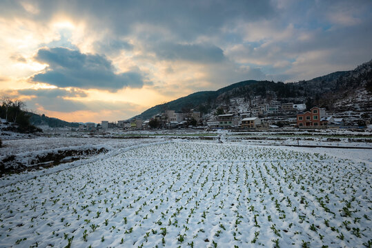 夕阳雪景