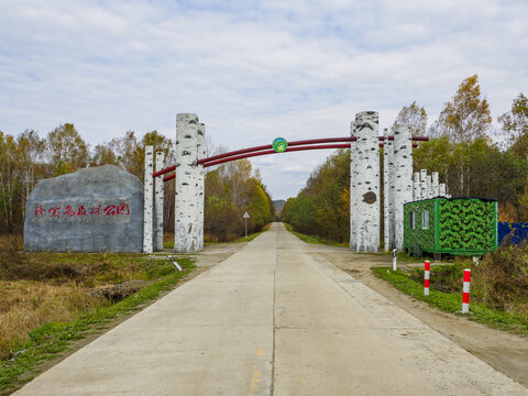 珍宝岛森林公园