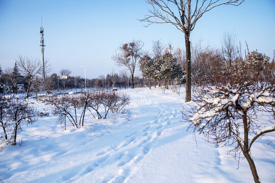 公园小路雪景