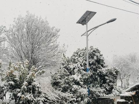 大雪银装素裹的世界