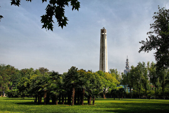 郑州大学校园草坪