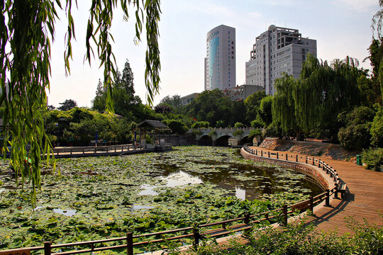 郑州紫荆山公园