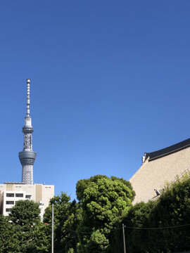从浅草寺看到的东京电视塔