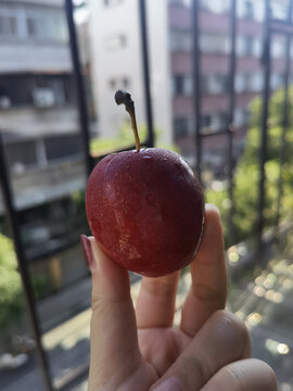 小苹果