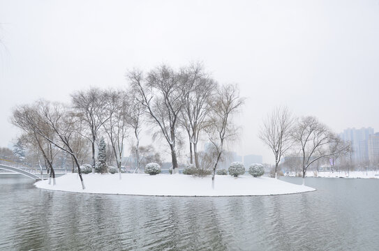 湖心岛雪景