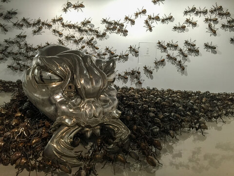 蚂蚁王国蚁群艺术品展览