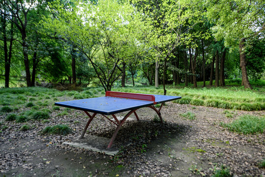 公园露营地的乒乓球桌