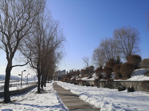 雪地里的河边公园