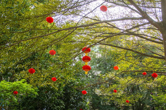 春节挂饰红灯笼