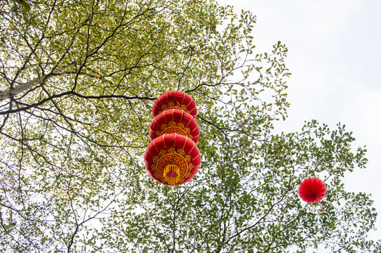 春节挂饰红灯笼
