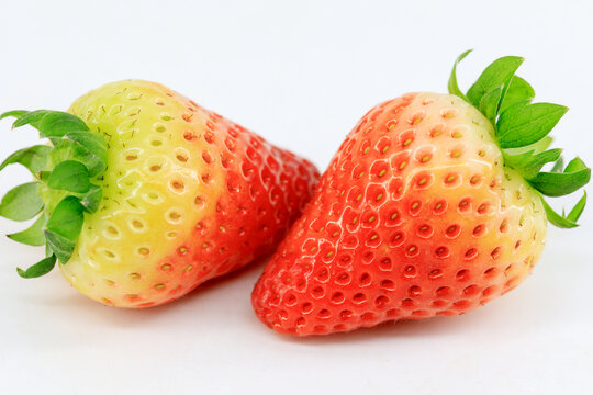 白底拍摄的草莓