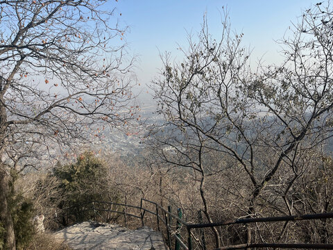 冬季香山旅游风景图