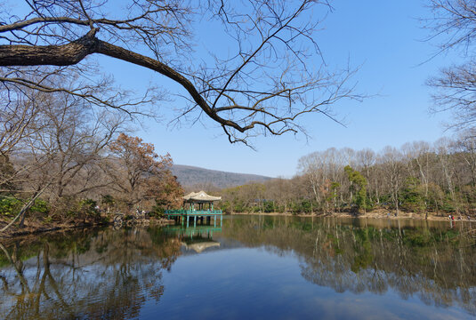 南京钟山风景名胜区流徽榭水景