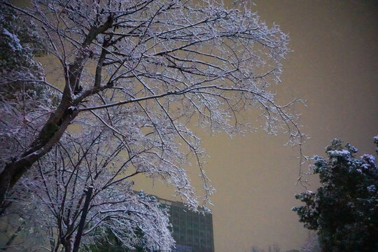 夜晚雪景