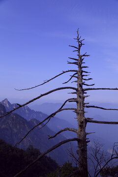 江西三清山