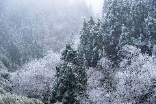 广东省云冰山