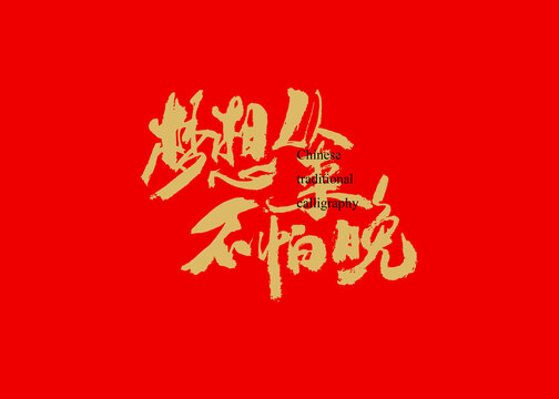 梦想从来不怕晚