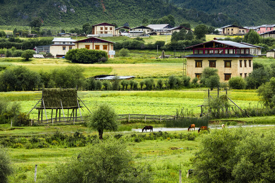 香格里拉田园风光