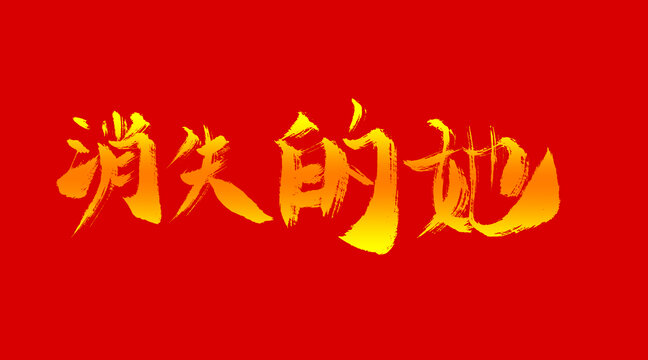 消失的她