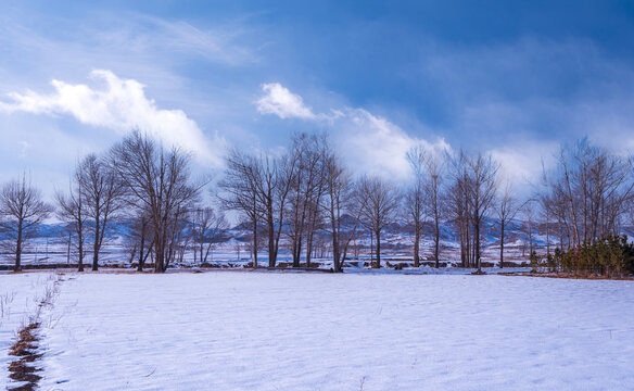 冬季农田雪景