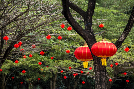 春节挂饰红灯笼