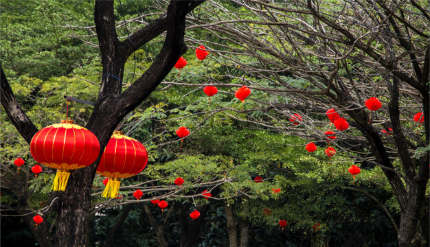 春节挂饰红灯笼