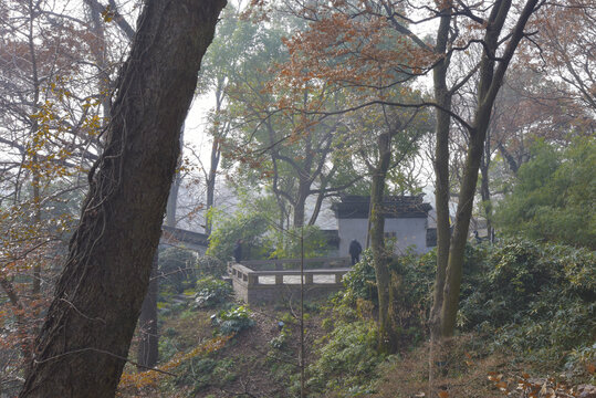 蘇州虎丘風景區的園林