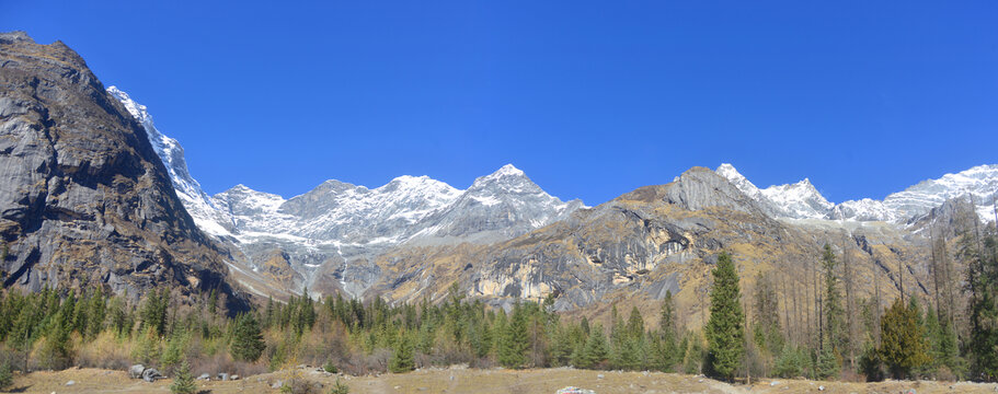 四姑娘山双桥沟红衫林景点全景