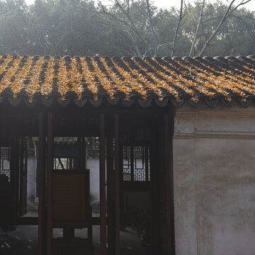 古建筑屋頂上的黃色落葉