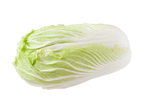 白背景的一顆大白菜