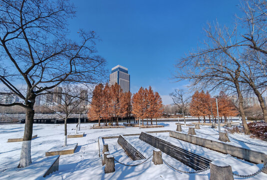 日照雪景