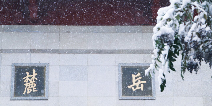 岳麓山雪景