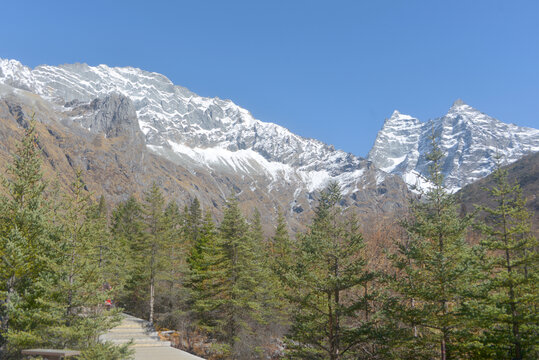 四姑娘山双桥沟红衫林观光栈道