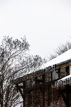 2024年冰雪中传统建筑特写