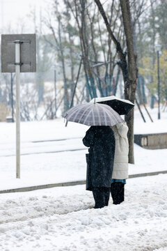 2024年常德冰雪天中的人