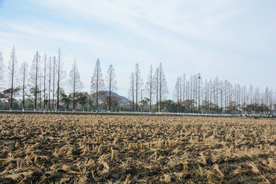 田地耕地