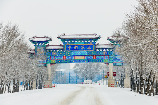 中都草原雪景