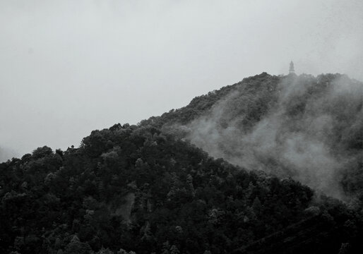 烟雨南山