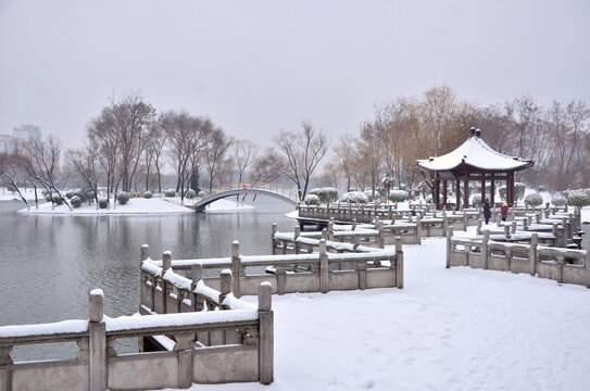 黄河公园雪景