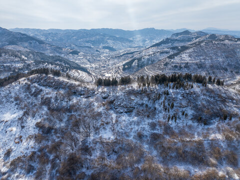 济南彩西路雪景