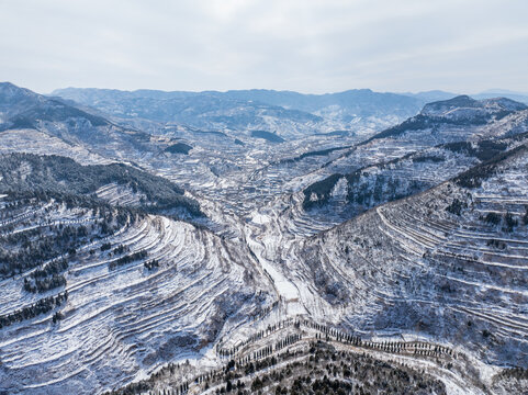 济南彩西路雪景