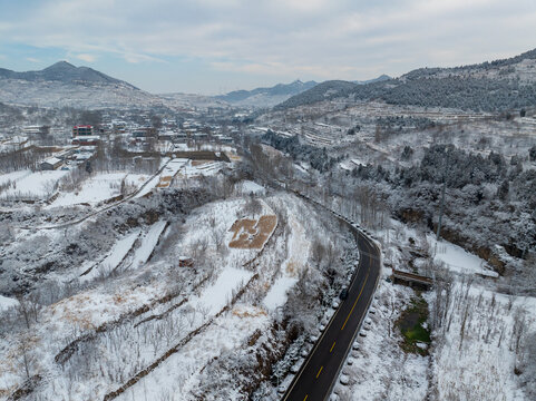 济南彩西路雪景雾凇