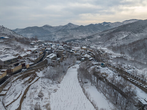 济南彩西路雪景雾凇