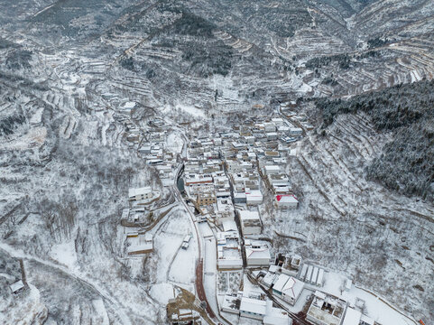 济南彩西路雪景雾凇