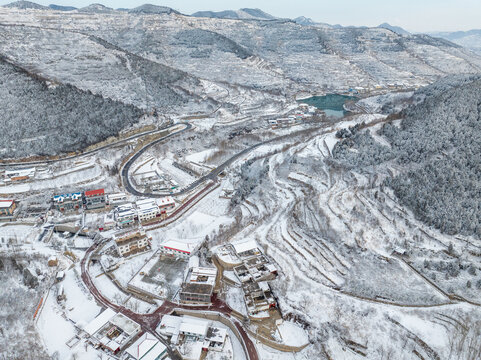 济南彩西路雪景雾凇