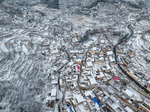 济南彩西路雪景雾凇