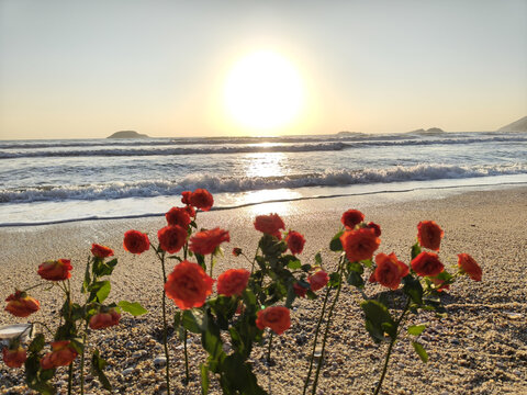 海边沙滩